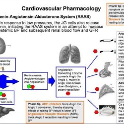 Rn pharmacology assessment a relias