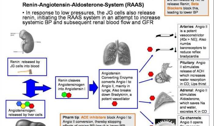 Rn pharmacology assessment a relias