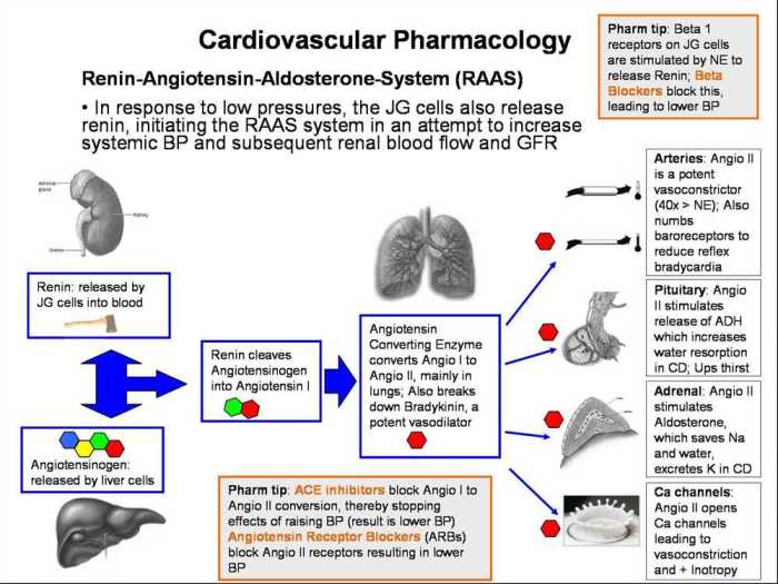 Rn pharmacology assessment a relias