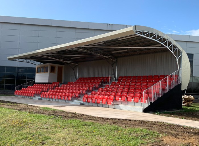 A spectator in the stands spots the team mascot