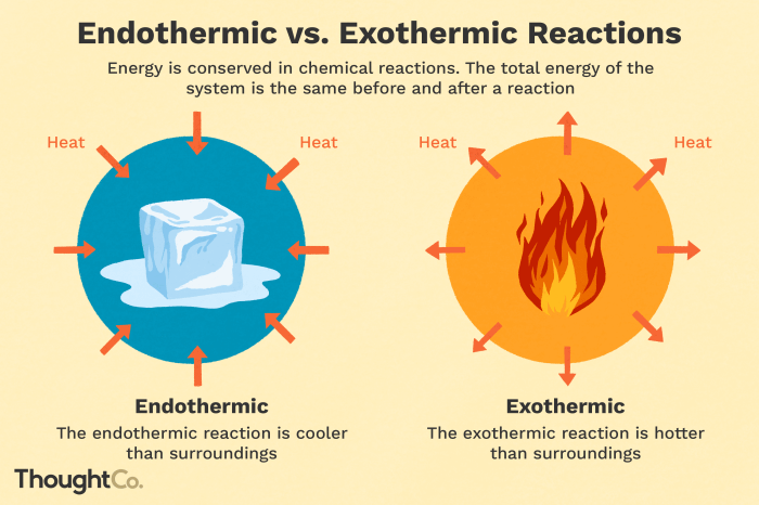 Classify each process as endothermic or exothermic.