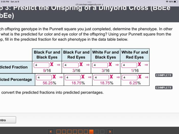 Punnett square part answer questions use using make completed predictions solved transcribed text show