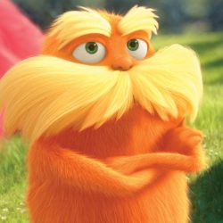 The lorax and sustainable development answers