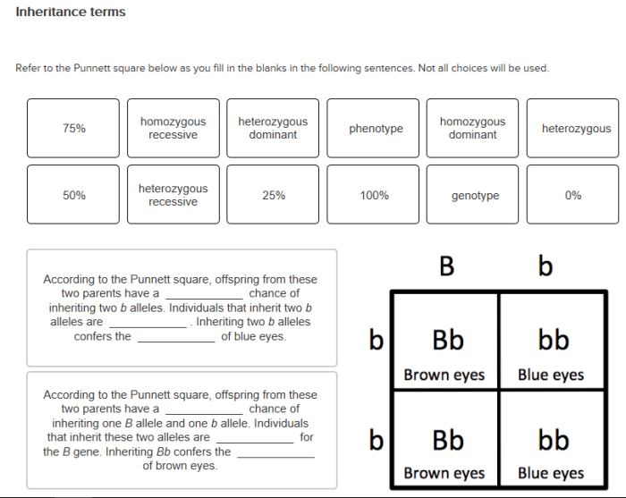 Refer to the partially completed punnett square