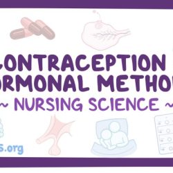 Endocrinology learn how contraceptives work